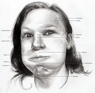 Facial features