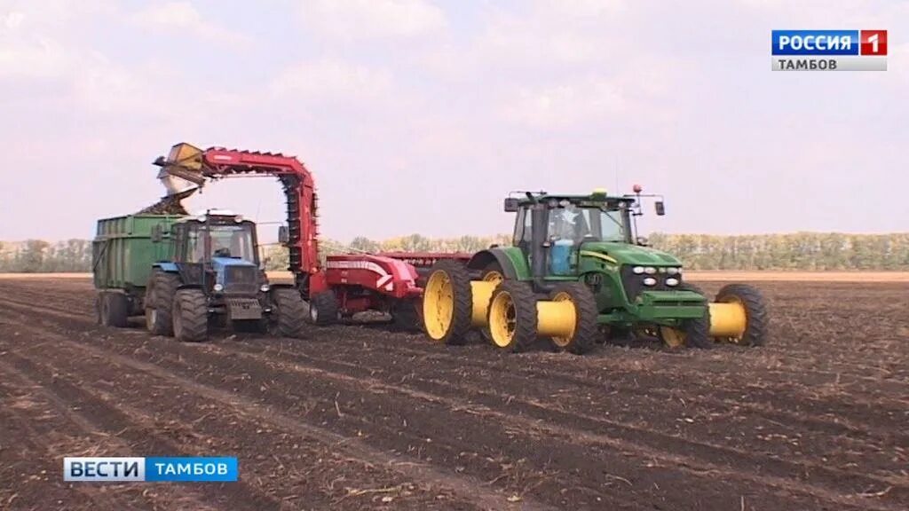 Золотая нива дагомыс. Тамбов золотая нива колбаса. Золотая нива донецкая область. Золотая нива тамбовская область знаменский. Кафе золотая нива.