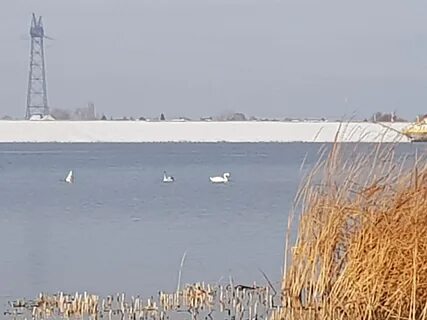 Осадки балаково
