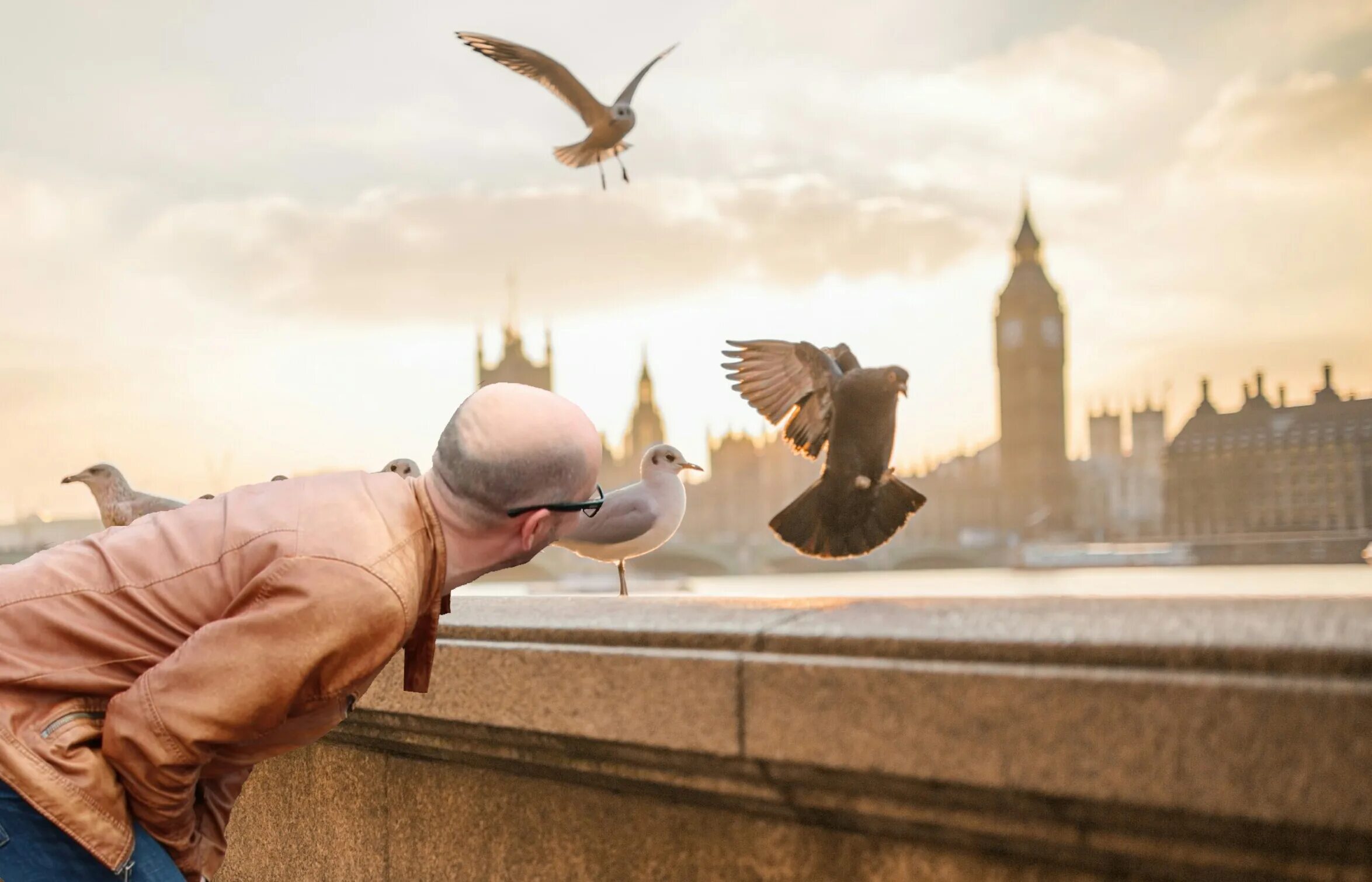 Способность птиц летать всегда привлекала человека основная. Человек птица. Птицы в Лондоне. Человек ищущий птиц. Человек с птичкой.