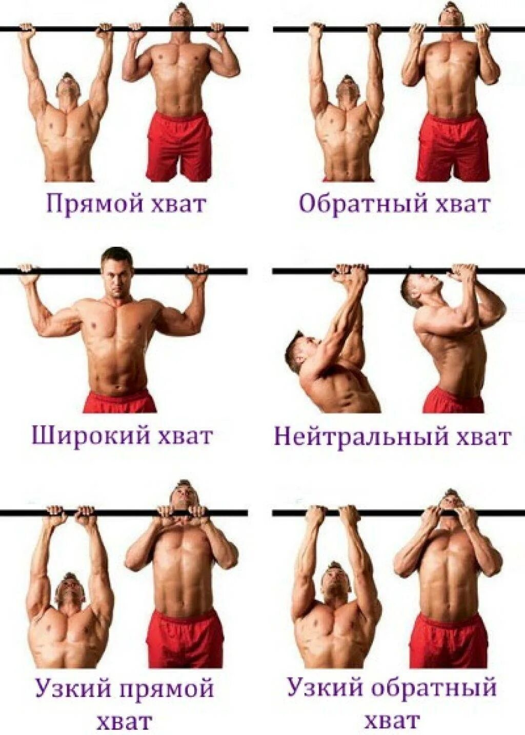 Тренировка количество подтягивание