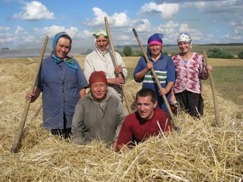 Лучшие труженики башкортостана. Труженики сельского хозяйства. труженики села. деревенские труженики. труженики села картинки.