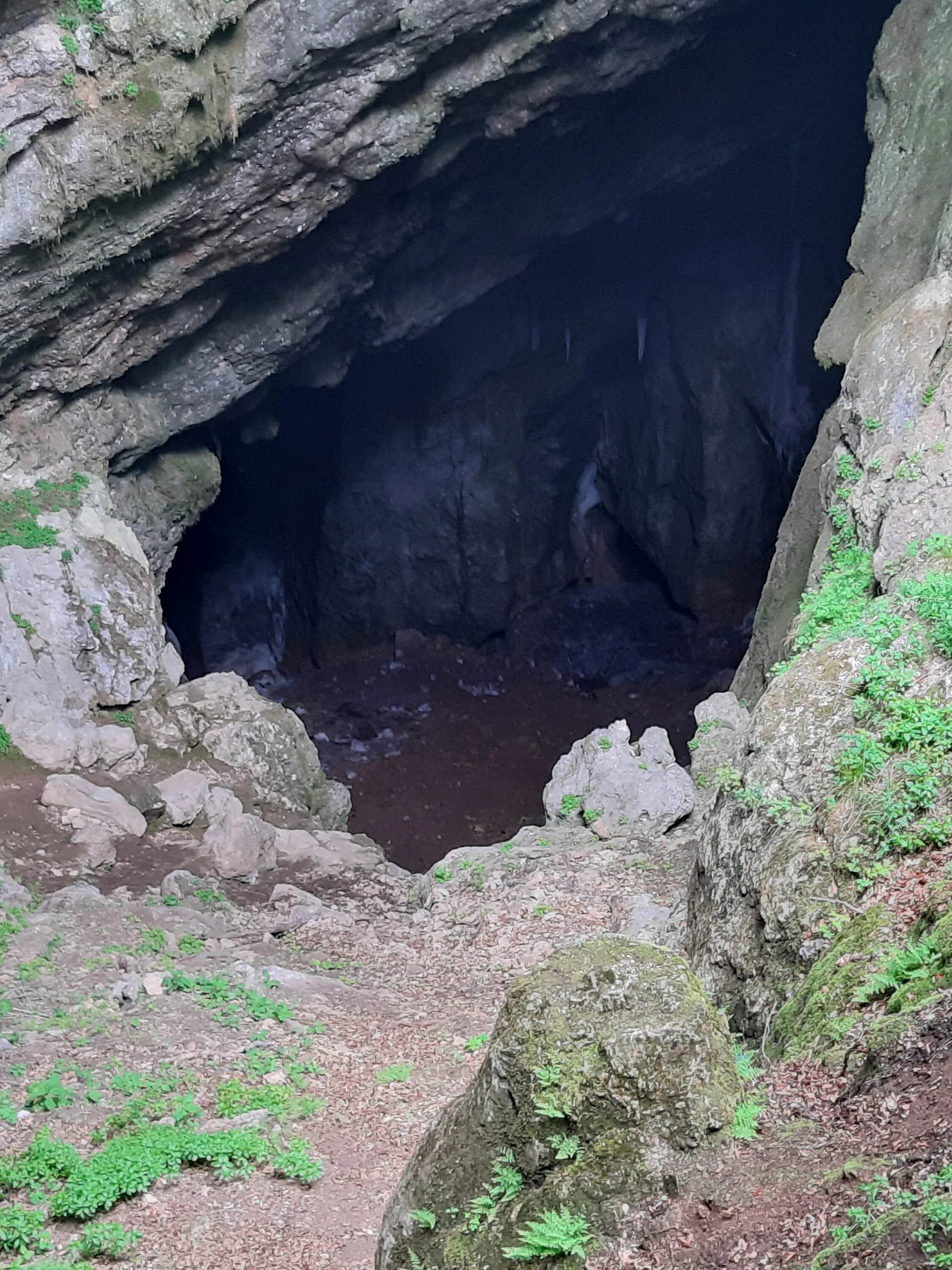 пещера большой бузлук в крыму. пещера большой бузулук бузулук крым. ледяная пещера бузлук коба. большой бузулук. пещера большой бузлук.
