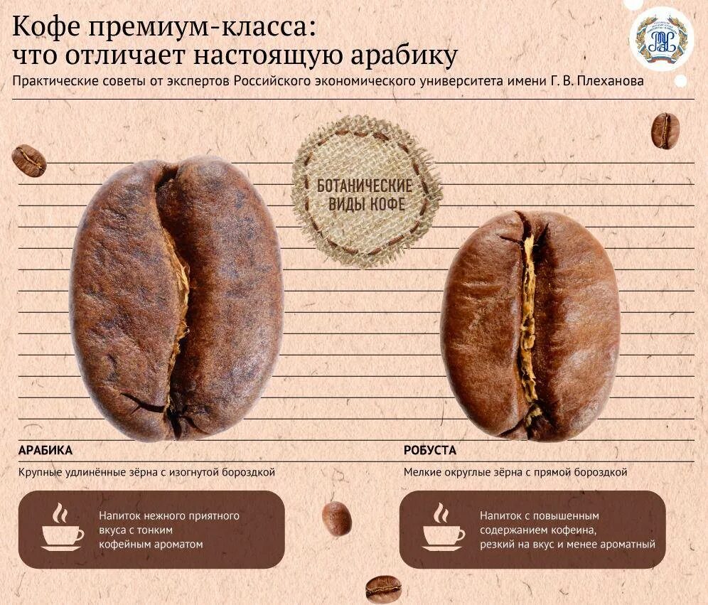 Кофе робуста отличается. Кофе в зернах Арабика и Робуста. Зёрна кофе Арабика и Робуста разница. Кофейное зерно Арабика Робуста разница. Кофе премиум Робуста Арабика Робуста.