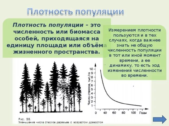 Плотность популяции. Численность популяции растений. Численность и плотность популяции. Плотность популяции это в экологии.