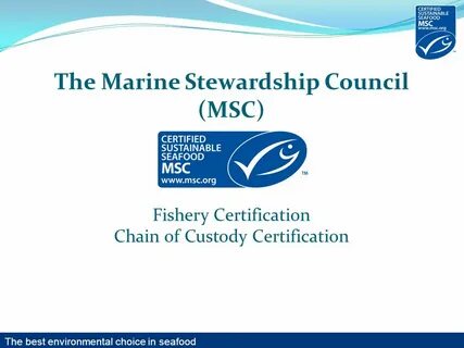 Certificate chain