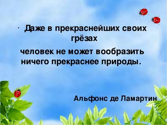 Проект родного края окружающий мир третий класс. Разнообразие родного края 3 класс окружающий мир проект. Как сделать проект по окружающему миру разнообразие природы. Высказывания о красоте природы родного края. Сообщение о природе родного края Омской области.