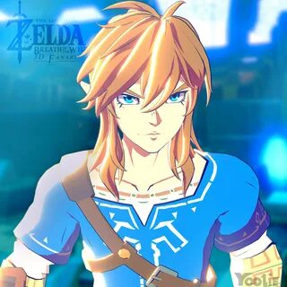 Link 13