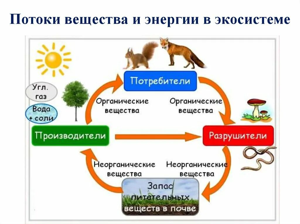 Круговорот веществ и превращение энергии в экосистеме. Круговорот веществ и поток энергии в экосистеме. Круговорот веществ и превращение энергии в экосистеме схема. Круговорот веществ и потоки энергии в природе схема. Поток энергии и пищевые цепи