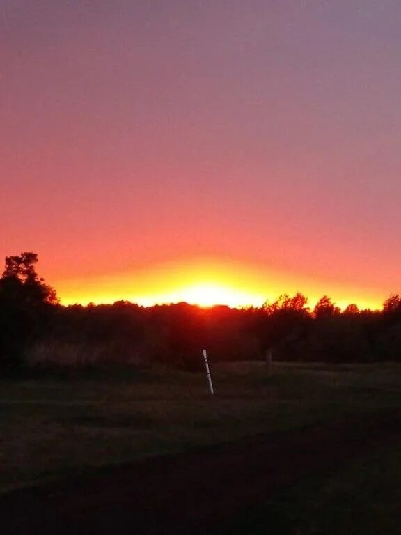Японская пустыня. Учебник по русскому языку 5 класс ладыженская. Солнце обойдя дом и уже переходя. В каком предложении допущена ошибка. Солнце обойдя дом и уже переходя.
