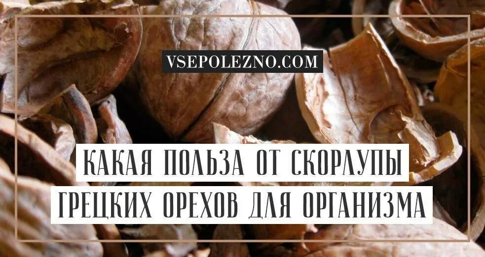 Отвар скорлупы грецких орехов. Скорлупа грецкого ореха отвар. Отвар из скорлупы грецких орехов. Шелуха от грецкого ореха. Скорлупа орех лечебные свойства