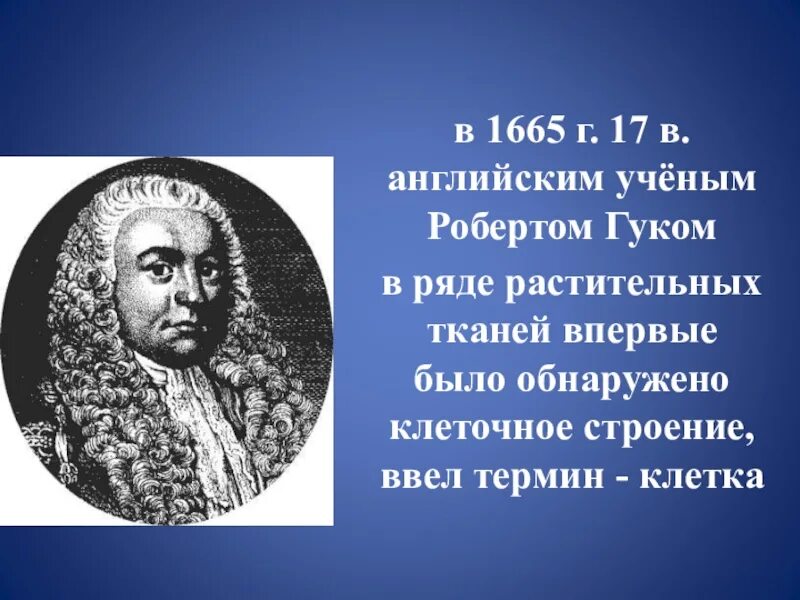 Гук ввел термин клетка. Гук ввел термин клетка