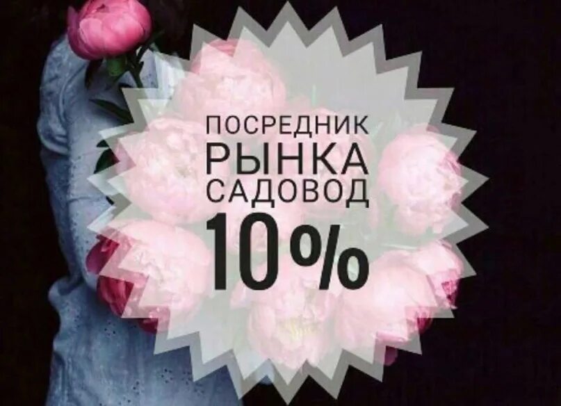 Посредник рынка садовод. Посредник садовник. Посредник рынка садовод. Посредник рынка садовод. Посредник садовник.