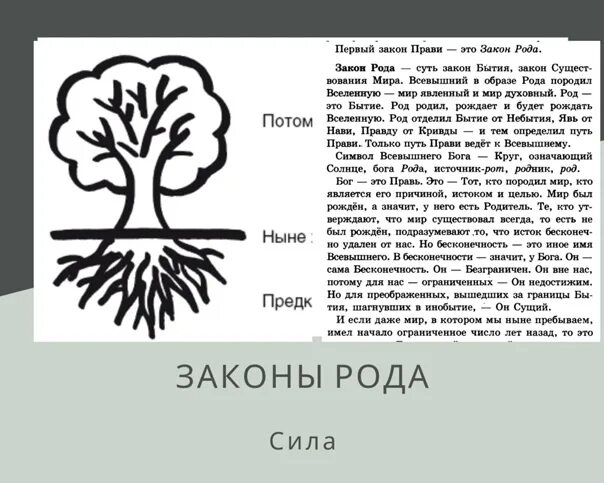 Системы какой род. Законы рода. Законы родовой системы. Закон иерархии в роду. Род психология.