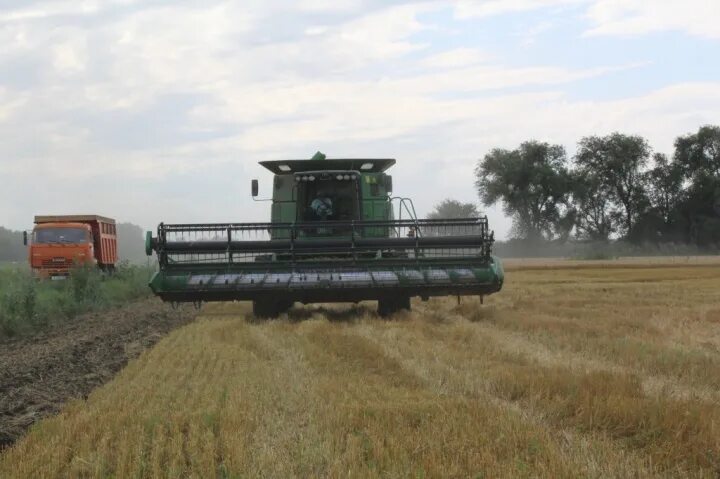 сельское хозяйство кчр.