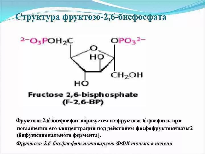 Фруктозо 2 6 дифосфат. Фруктоза 2 6 дифосфат. Фруктозо-2,6-бифосфат. Фруктозо 6 бисфосфатаза.
