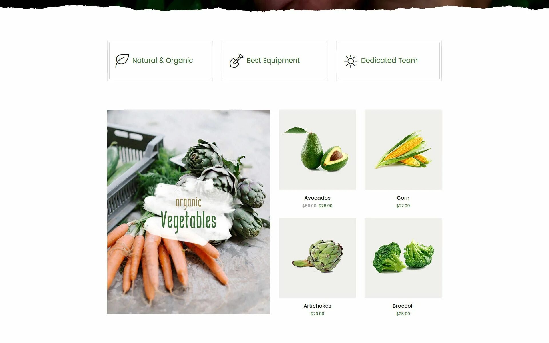 Сайт natural. Organic natural стиль сайта. Органик стиль в веб дизайне. Organic and natural веб дизайн. Веб-дизайн natural.