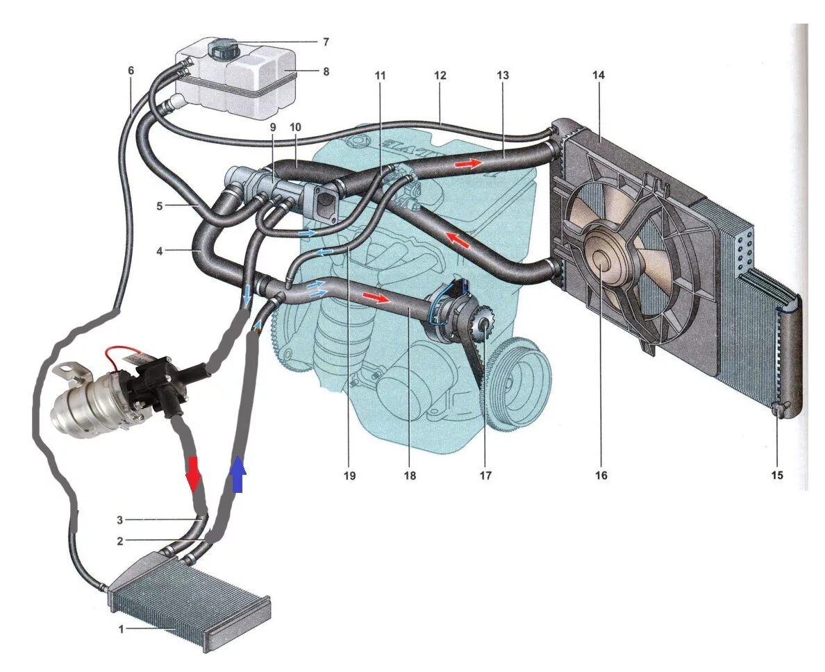 Холодный радиатор причина. Система охлаждения двигателя ВАЗ 2115. Система охлаждения двигателя ВАЗ 1118. Система охлаждения Приора 16 клапанов. Двигатель Лада Приора 16 клапанный система охлаждения..
