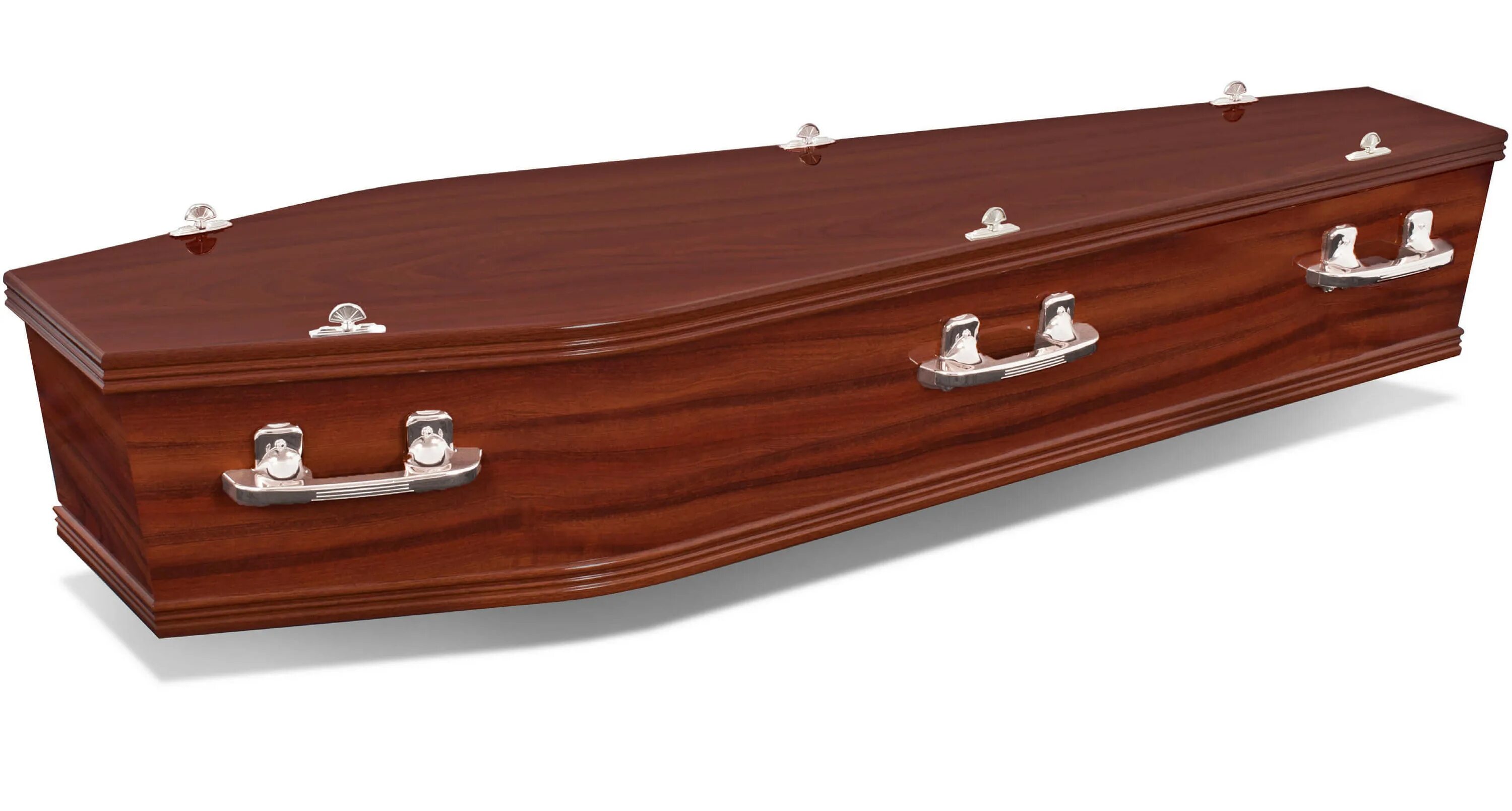 Daxecker Coffins. Копилка Coffin. Coffin s