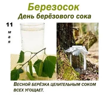 Отчет о дне березы