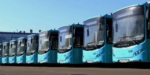 Автобус 15 спб