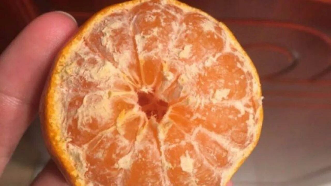 Вес кожуры апельсина. Обычные апельсины с тонкой кожурой. Апельсин жизни. Сколько долек в апельсине. Долька апельсина.