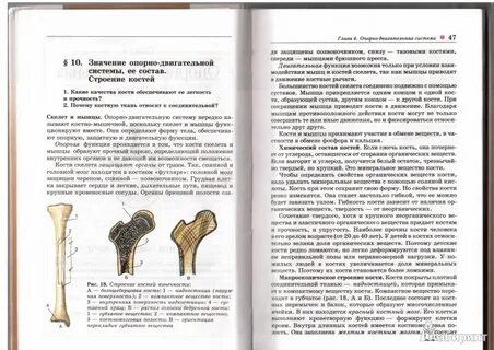 Биология 8 класс учебник 106 страница