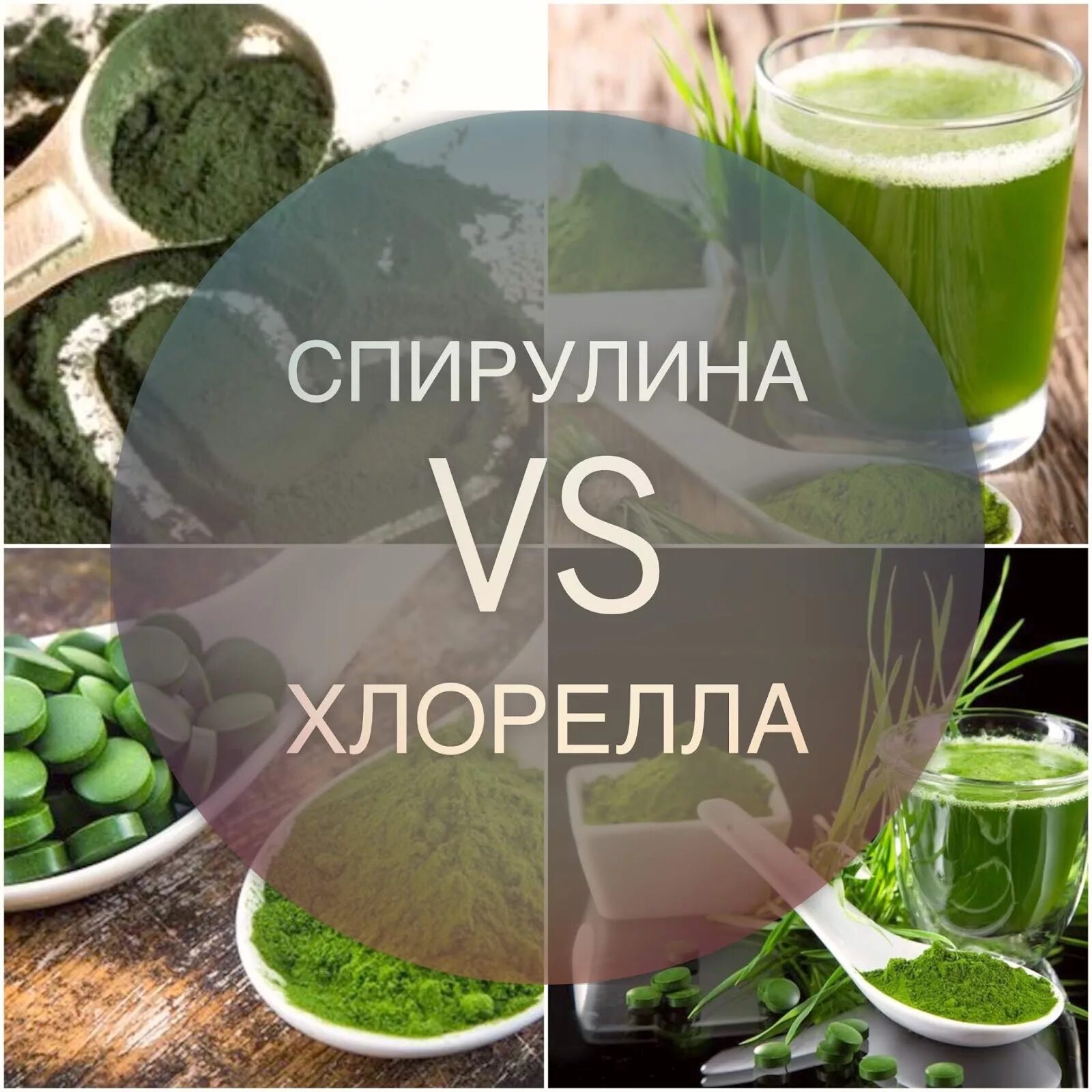 Хлорелла что содержит. Хлорелла. хлорофилл и спирулина. хлореллы и спирулины и. хлорофилл хлорелла.