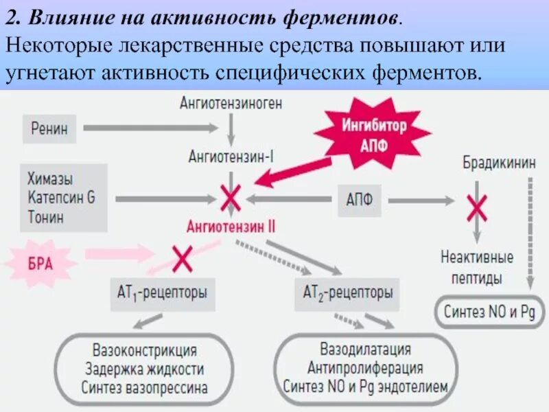 Механизм действия активности ферментов.. Влияние лекарственных средств на активность ферментов. Условия влияющие на активность ферментов. Факторы и условия влияющие на активность ферментов.