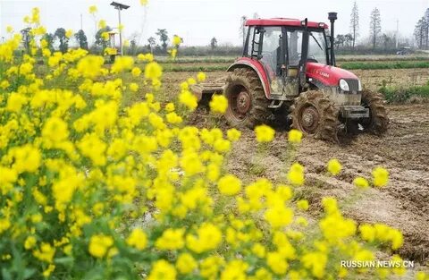 Весенняя страда презентация в старшей группе
