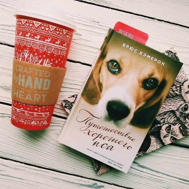 селафорт д/собак от 20 до 40 кг 1 пип. капли для кошек inspector quadro 1-4. сила собаки отзывы. стронгхолд для собак 40-60 кг. грин кьюзин курица лакомство для собак.