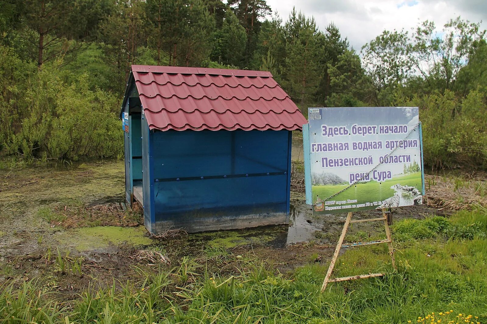 Откуда берет начало сура. Исток реки Сура. Село Сурские вершины Ульяновской области. Сурские вершины Барышский район. Река Сура Ульяновская область.