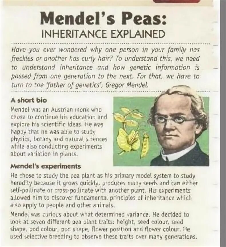 Read again and mark the sentences. Gregor Mendel was the first person to study Genetics true. Mark the Statements 1-4 true or f false 5 класс. Read again and Mark the sentences t true f false or DS doesn't 5 класс стр 27. Read the text and Mark the sentences t true or f false 6c.