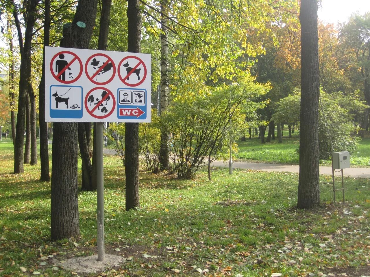 Какой знак можно встретить в городском парке. Запрещающие знаки в парке. Таблички для парка. Знак лесопарк. Таблички в парке.