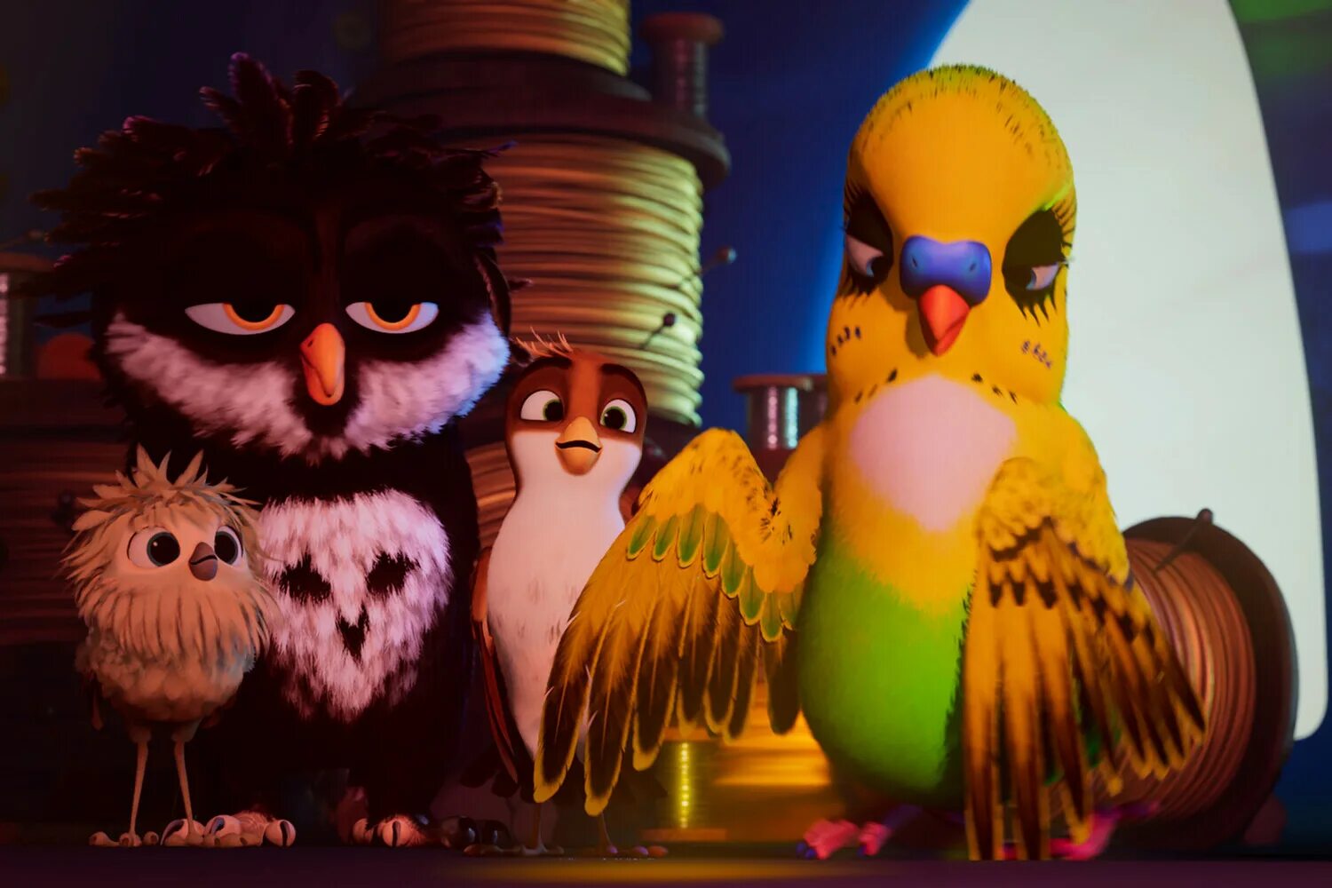 Трио в перьях мультфильм. Трио в перьях мультфильм 2. Трио в перьях ольга. Трио из рио мультфильм. Пернатое трио.