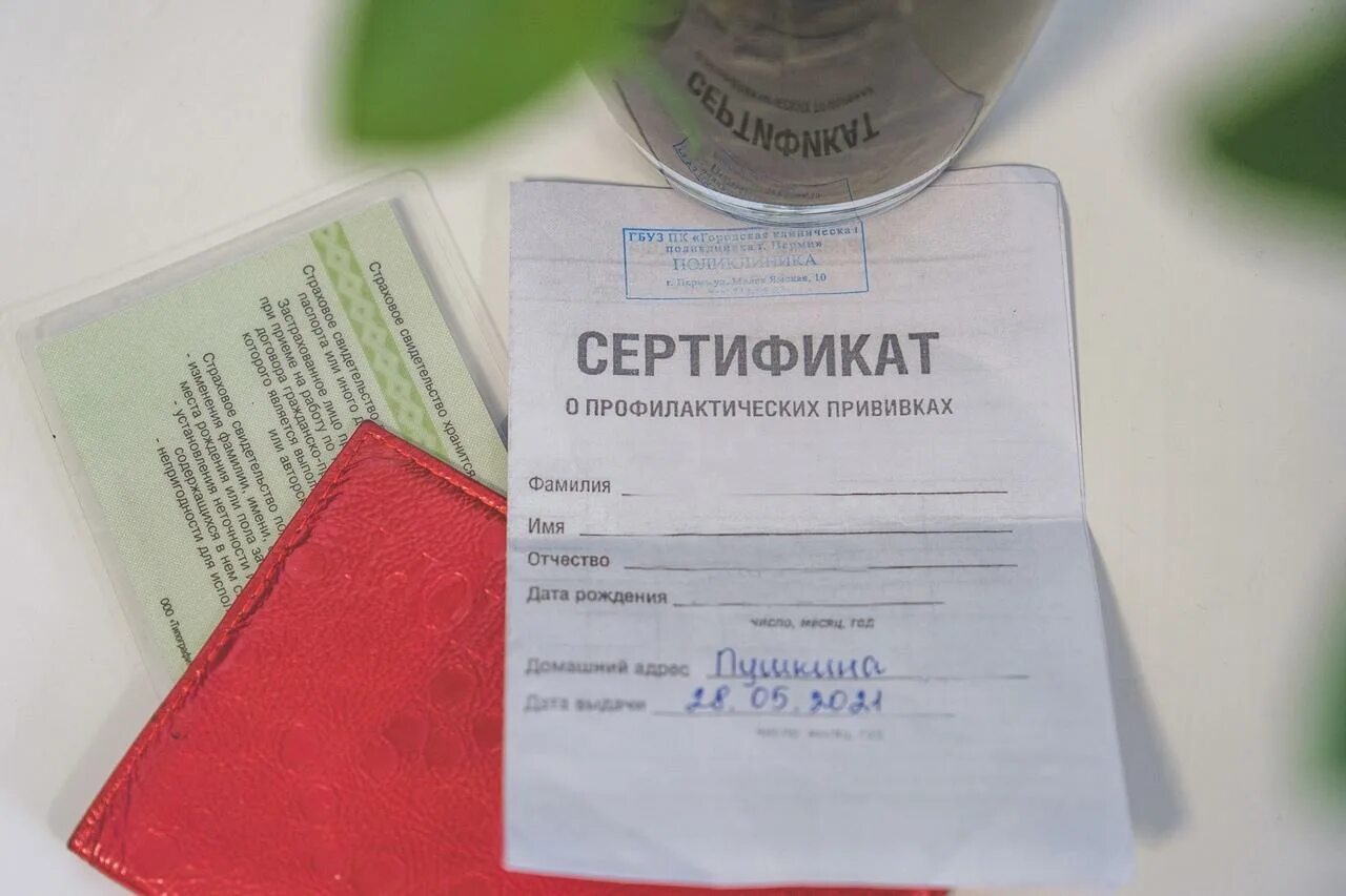 Сертификат вакцинации на госудсцгах. Через сколько придет сертификат. Через сколько придет сертификат. Через сколько придет сертификат. Через сколько придет сертификат.