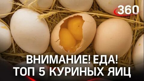 Почему стоит яйцо
