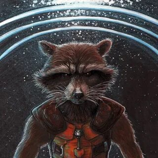 Космический енот