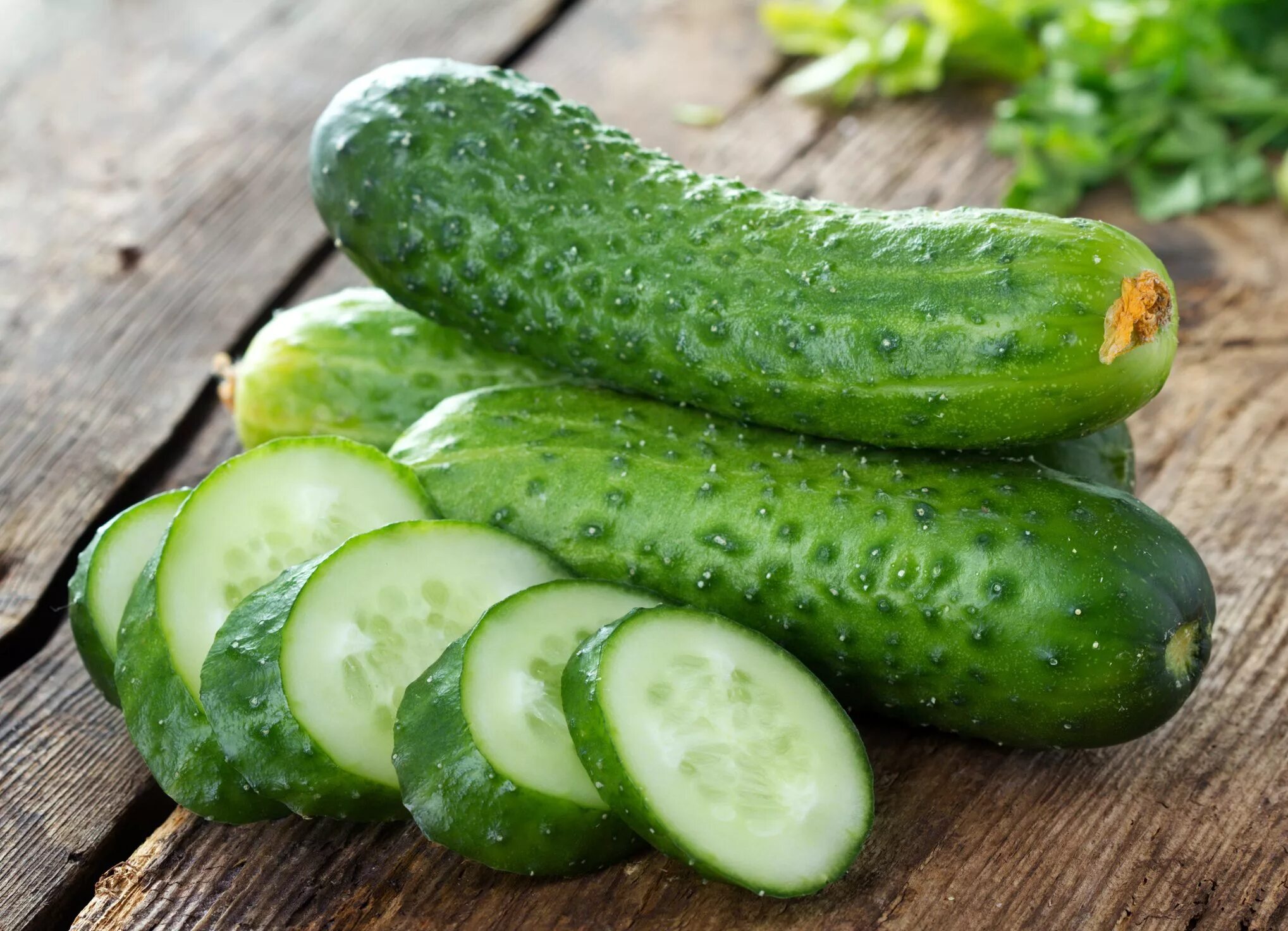 Кукумбер что это. Огурец cucumber. огурец базар f1 12шт/10/50. огурец кукумбер кукумбер. очурци.