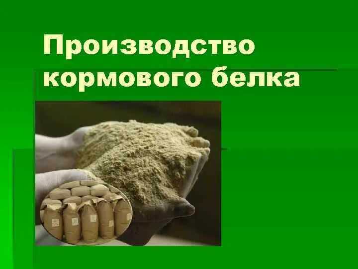 Белки биотехнологии. Микробный кормовой белок. Производство кормовых белков. Производство кормового белка. Пищевые и кормовые дрожжи.