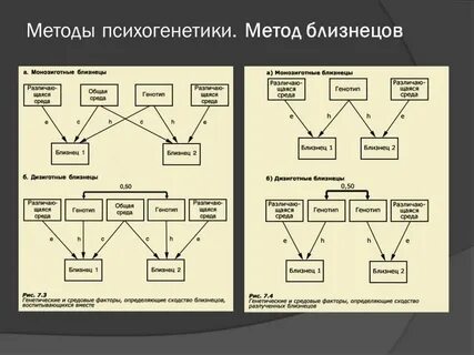 Генетика способностей