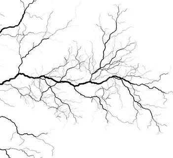 Branch around