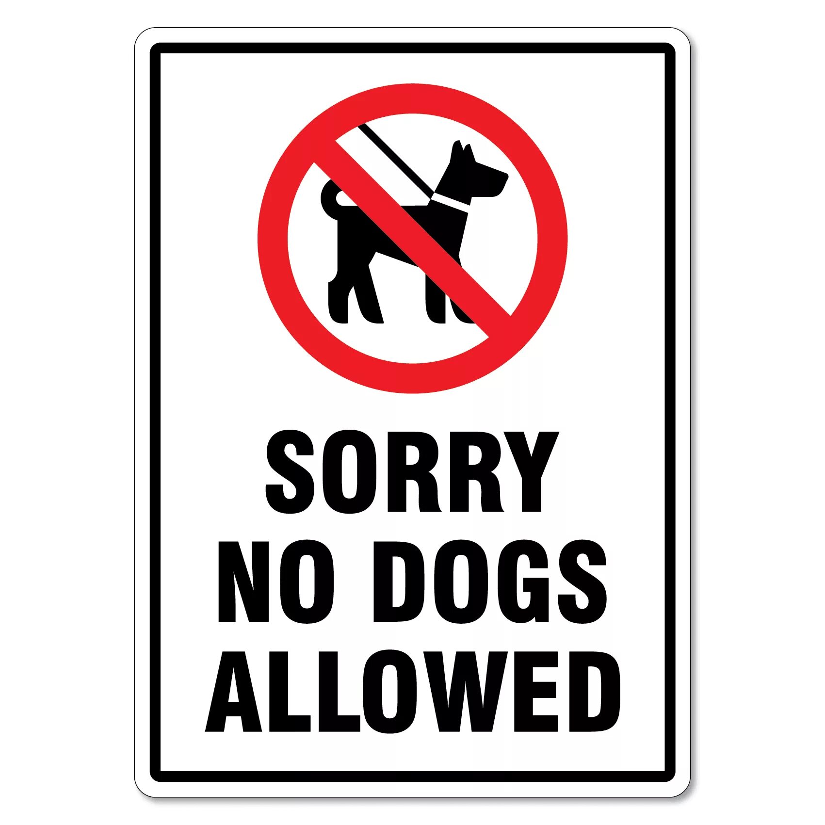 No Dogs allowed. No Dogs allowed sign. Ноу сори. Pets are not allowed.