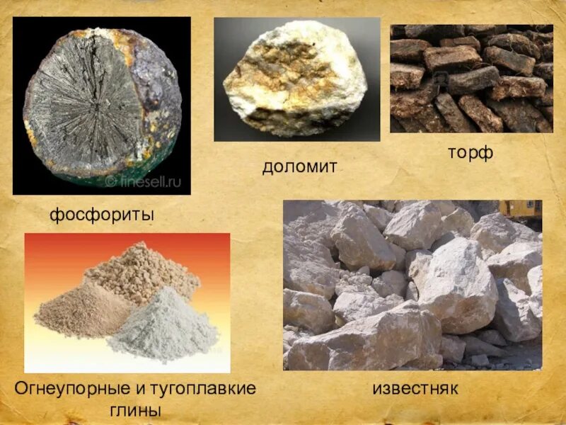 Полезные ископаемые в московской области окружающий. Известняк Горная порода. Полезные ископаемые. Огнеупорные и тугоплавкие глины. Известняк и глина.