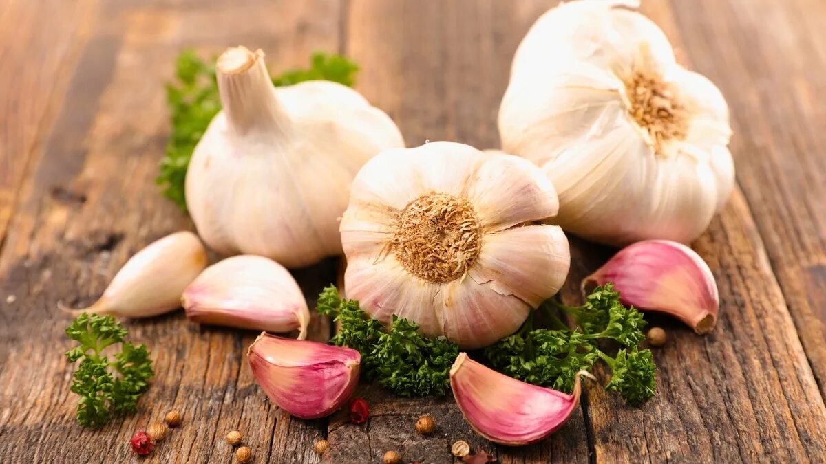 Как будет чеснок по английски. Чеснок гарлик. чеснок - allium sativum.. чеснок каждый день. если есть чеснок каждый.