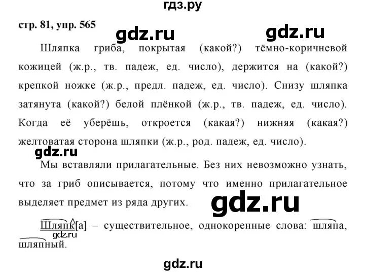 Русский 5 класс страница 49 упражнение 565