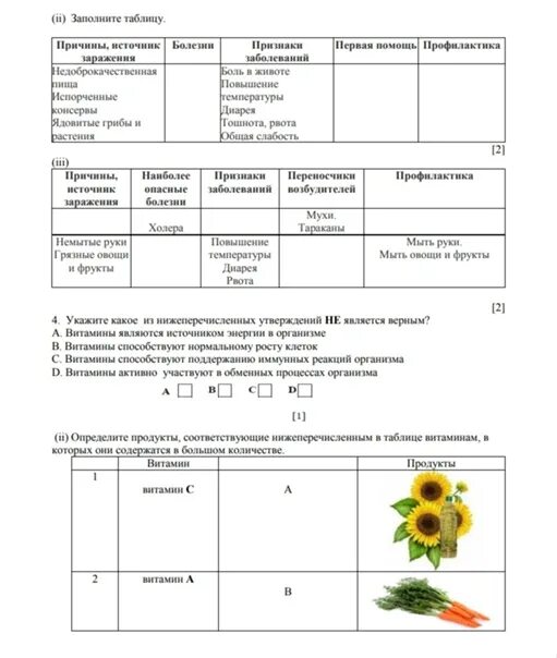 Соч по биологии 10 класс 3 четверть. Биология 8кл 1четверть соры.