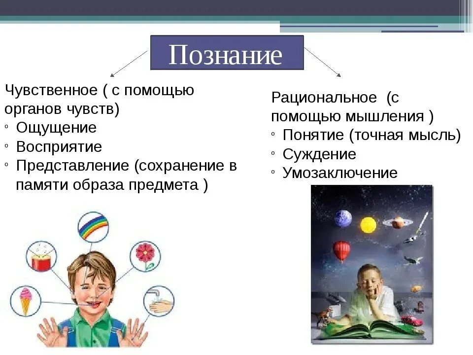 Чувственное создание. Познание. Чувственное познание примеры. Человек познает мир. Понятие познания.