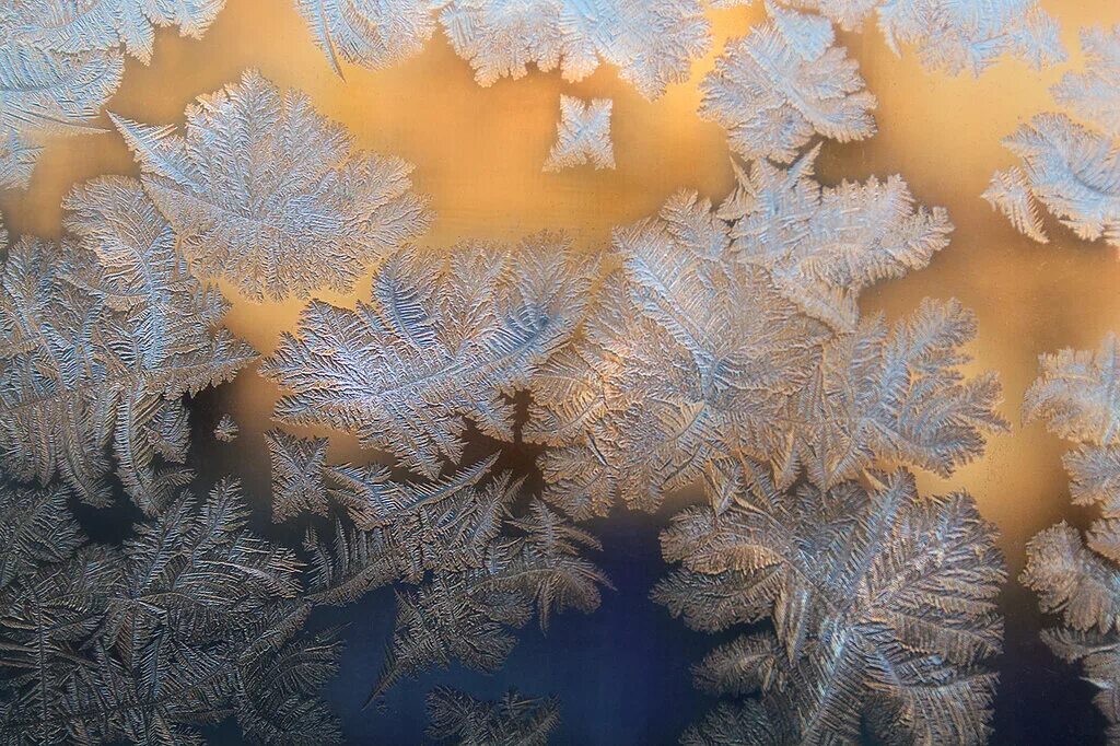 морозные кружева. морозные узоры. морозные узоры. морозные узоры на окне. морозные узоры на окне.
