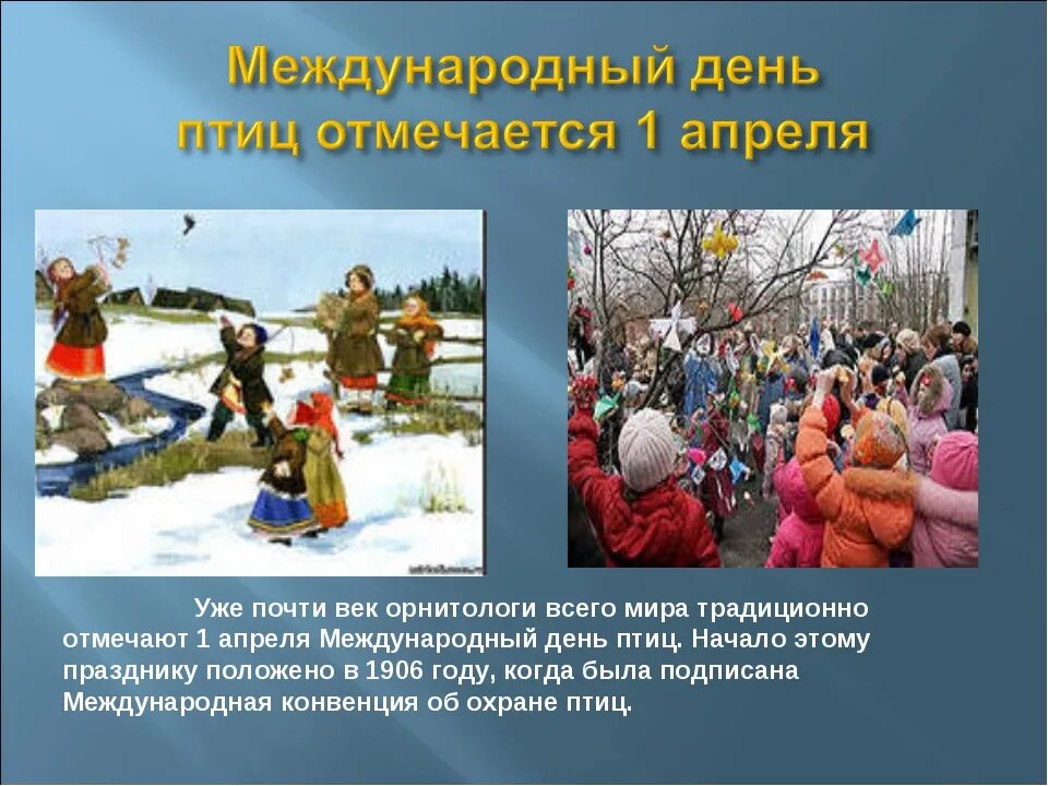 Международный день птицы отмечается 1 апреля. Праздник день птиц. международный праздник птиц. первое апреля международный день птиц. международный день птиц дети.